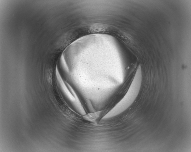 X0000064760315200603031806