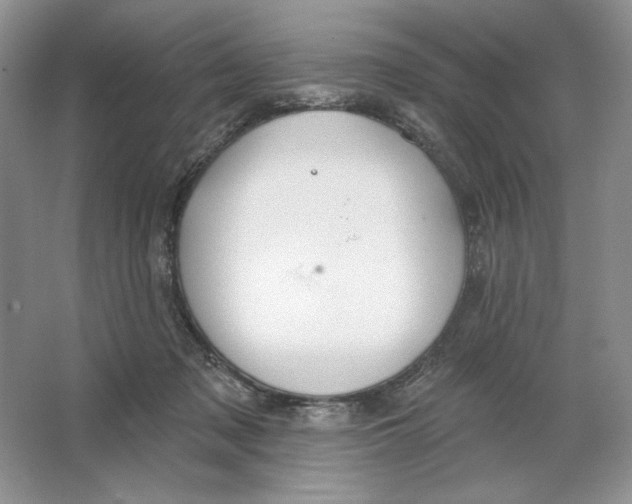 X0000064760317200603031806