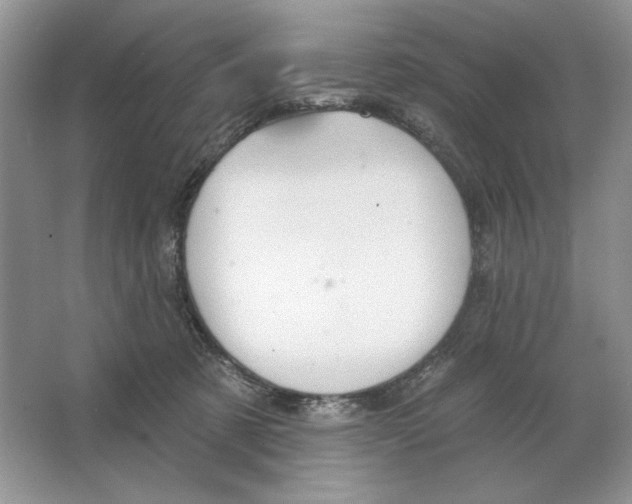 X0000064760321200603031806
