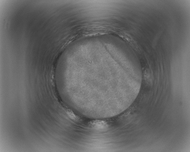 X0000064760322200603031806