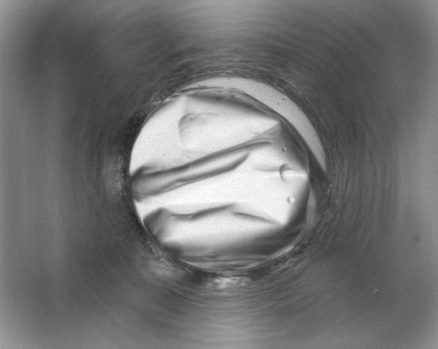 X0000064760323200603031806
