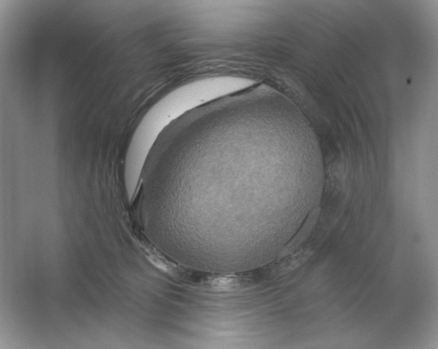X0000064760325200603031806