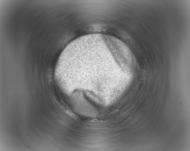 X0000064760326200603031806