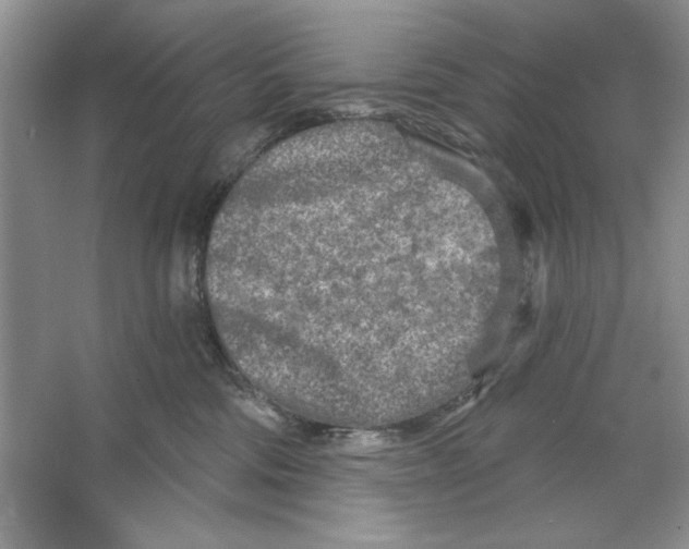 X0000064760330200603031806