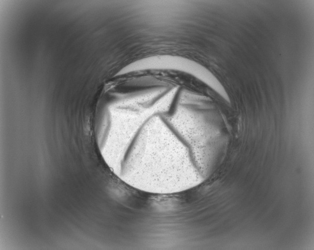 X0000064760331200603031806