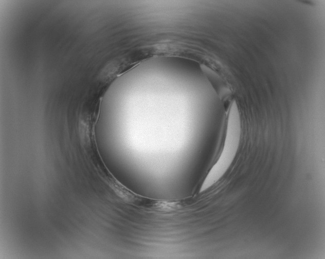 X0000064760333200603031806