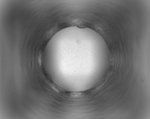 X0000064760334200603031806