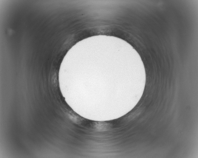 X0000064760336200603031806