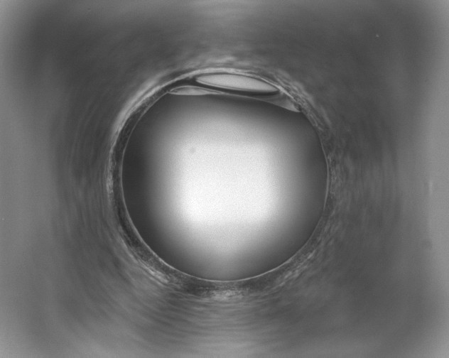 X0000064760344200603031805