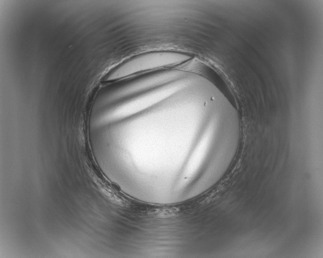 X0000064760345200603031805