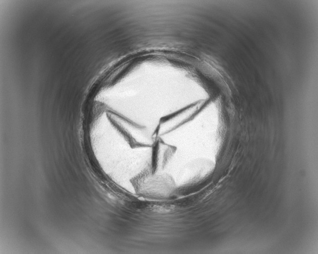 X0000064760346200603031805