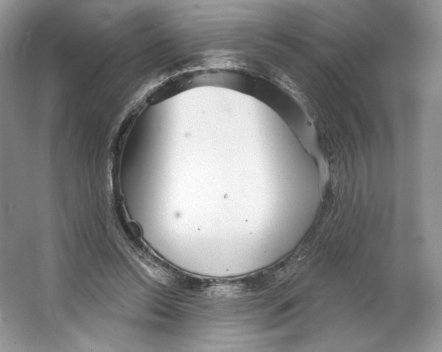X0000064760350200603031805