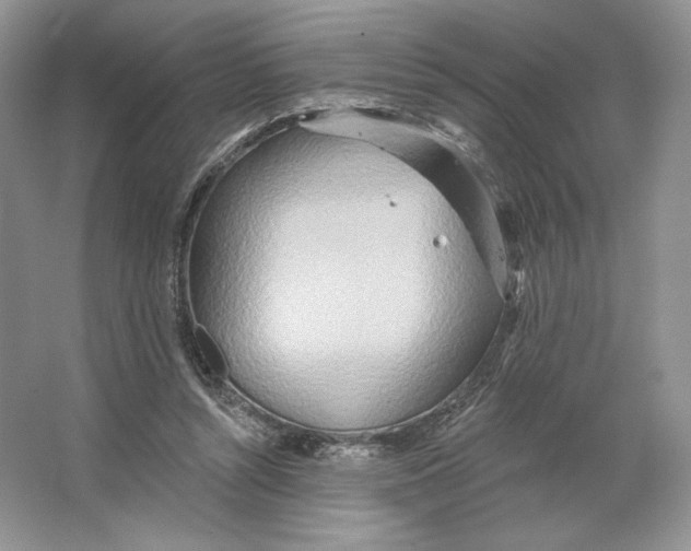 X0000064760352200603031805
