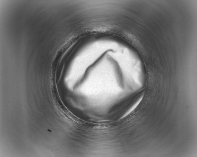 X0000064760354200603031805