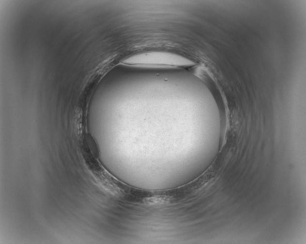 X0000064760356200603031805