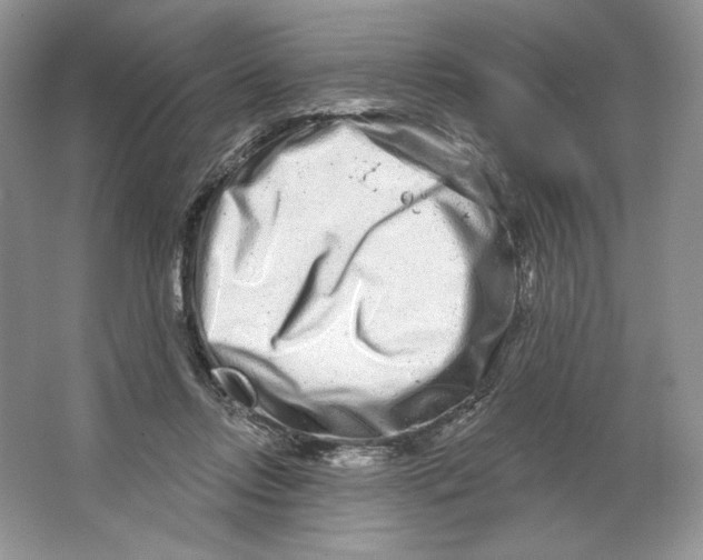X0000064760358200603031805