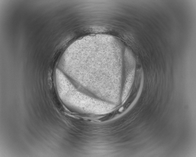 X0000064760360200603031805
