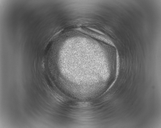 X0000064760363200603031805