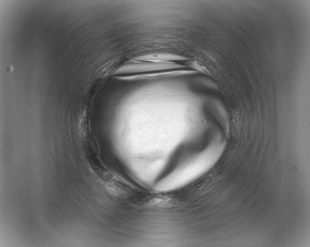 X0000064760364200603031805