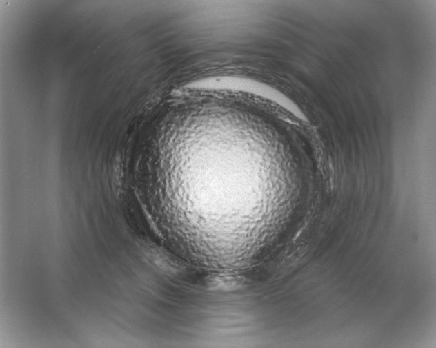 X0000064760372200603031805