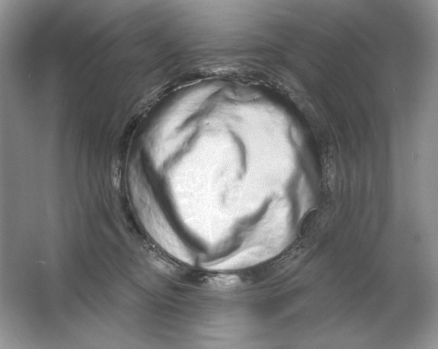X0000064760374200603031805