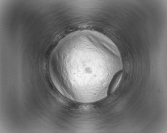 X0000064760375200603031805