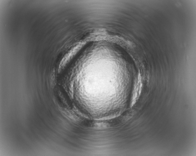 X0000064760376200603031805