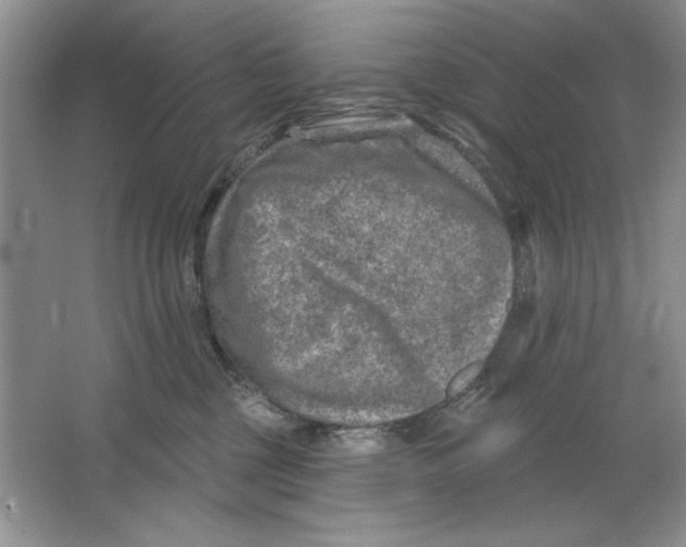 X0000064760377200603031805
