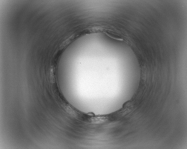 X0000064760378200603031805