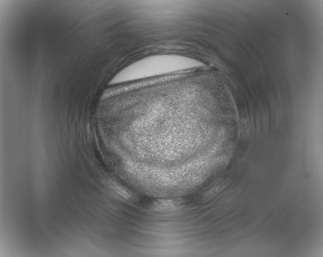 X0000064760381200603031805