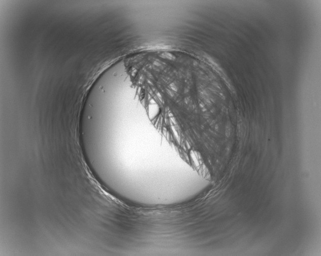 X0000064760385200603031805
