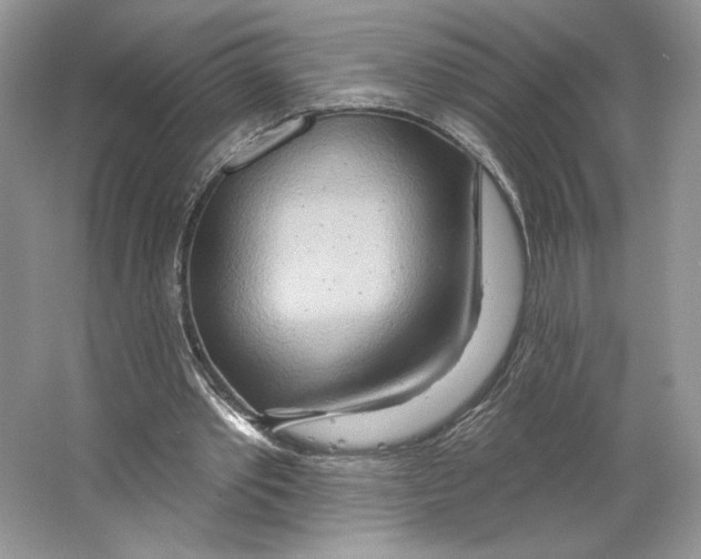 X0000064760389200603031805