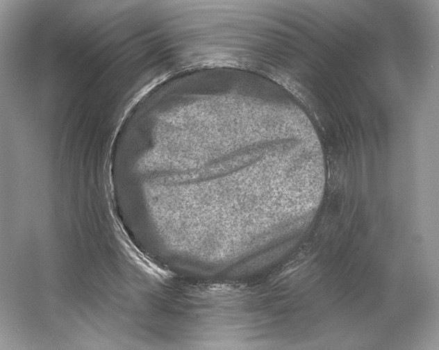 X0000064760390200603031805