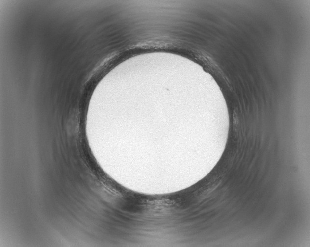 X0000064760396200603031805