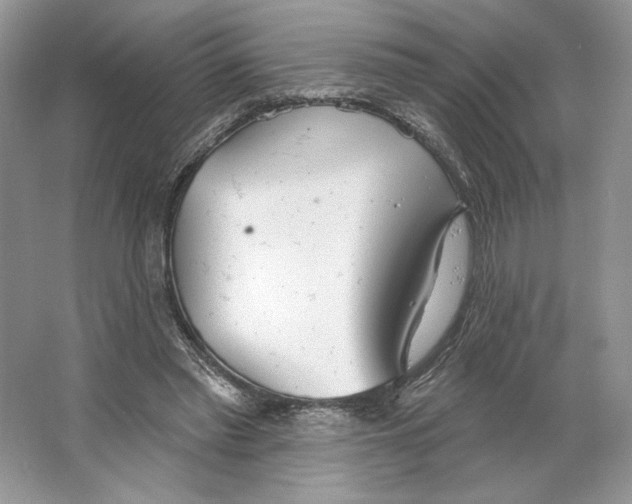 X0000064760397200603031805
