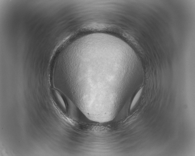 X0000064760399200603031805