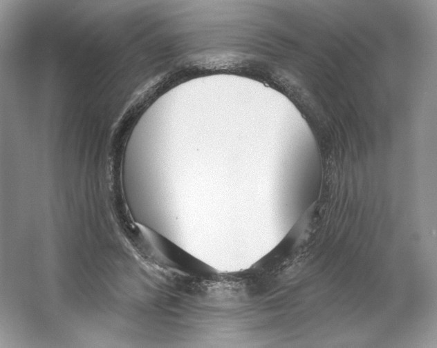 X0000064760400200603031804