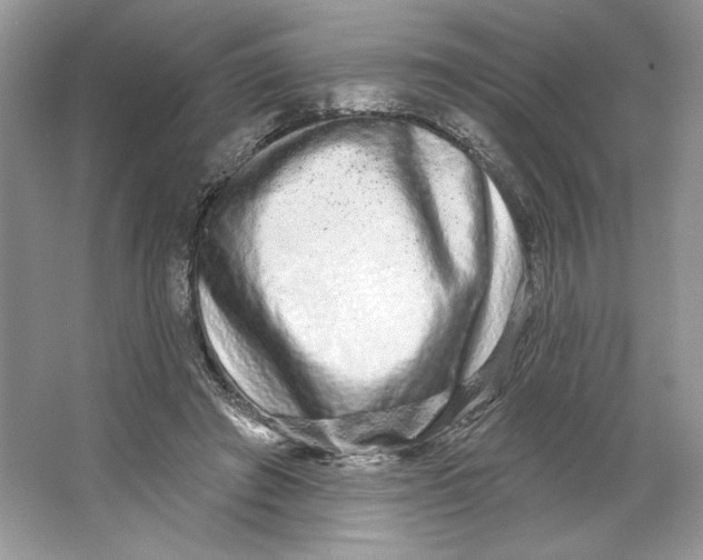 X0000064760401200603031804
