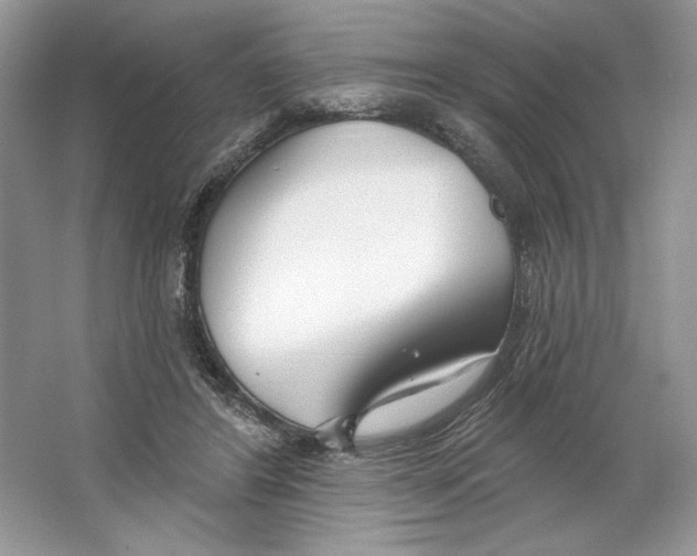 X0000064760404200603031804