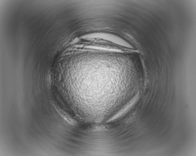 X0000064760405200603031804