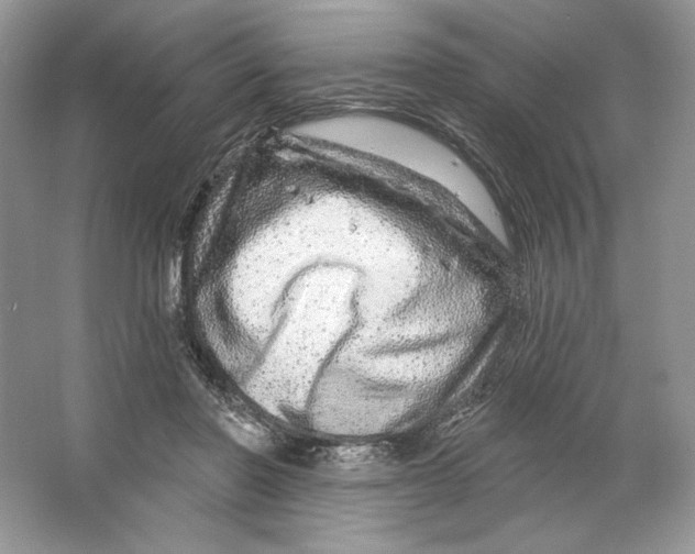 X0000064760406200603031804