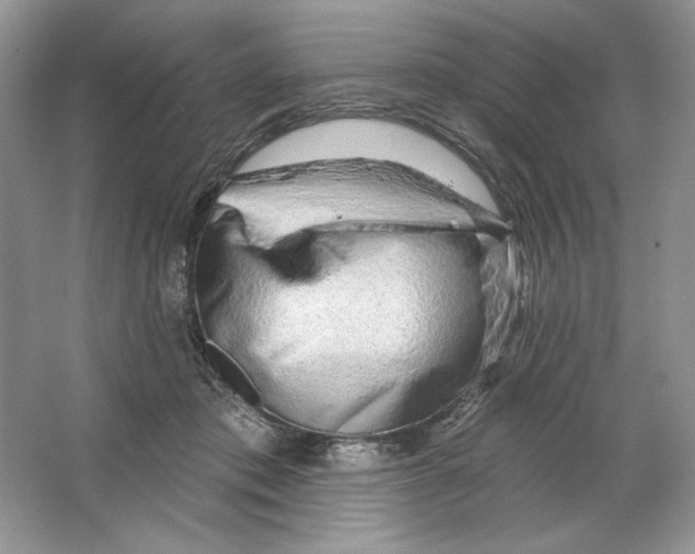 X0000064760413200603031804