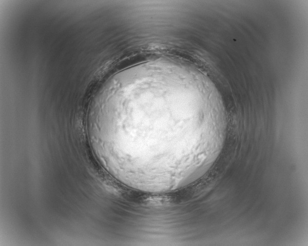 X0000064760415200603031804