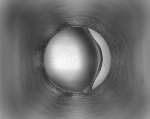 X0000064760416200603031804