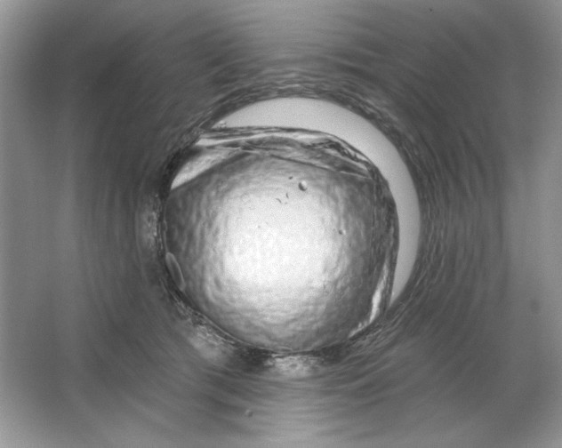 X0000064760417200603031804