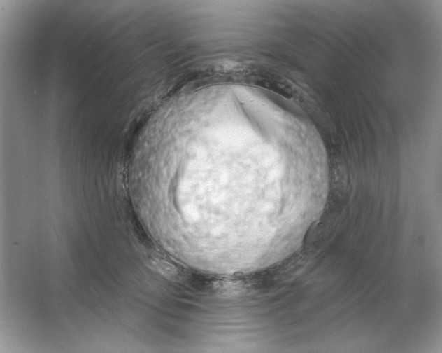 X0000064760419200603031804