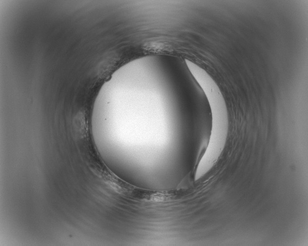 X0000064760420200603031804