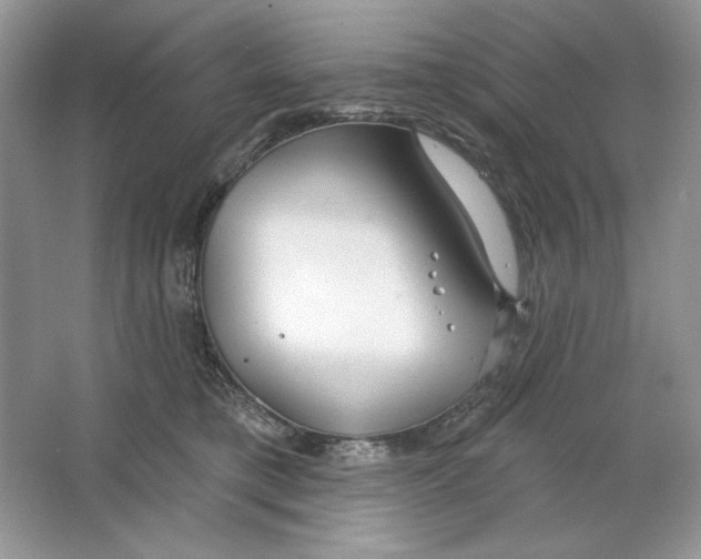 X0000064760421200603031804