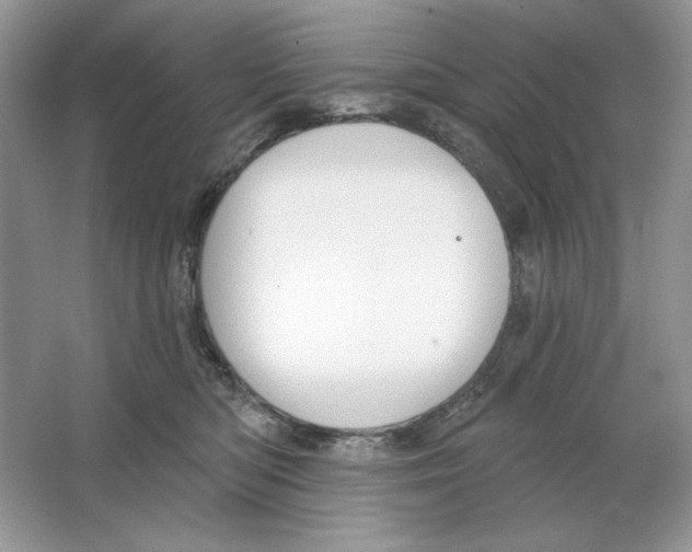X0000064760422200603031804