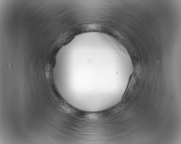 X0000064760423200603031804
